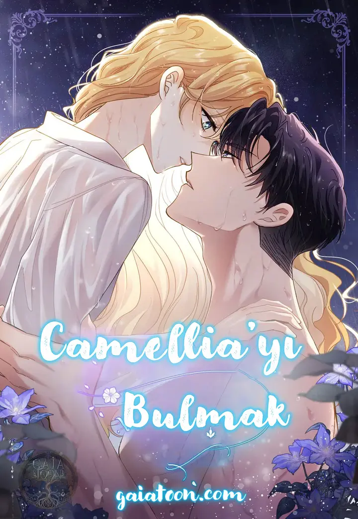 camelliayi-bulmak-image