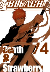 bleach-image