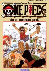 one-piece-renkli-image