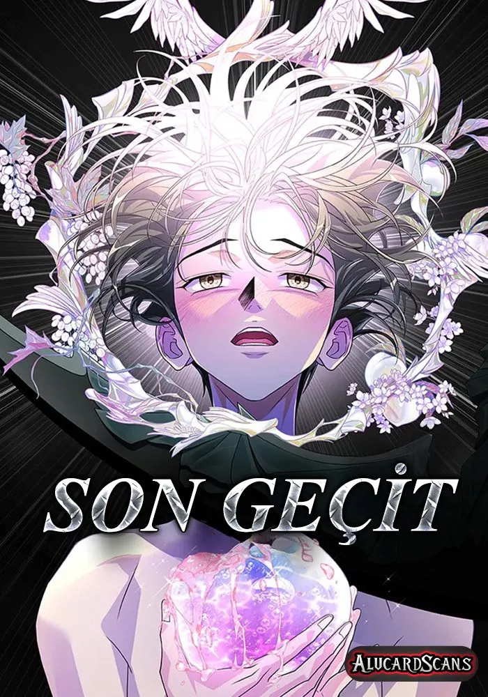 son-gecit-image